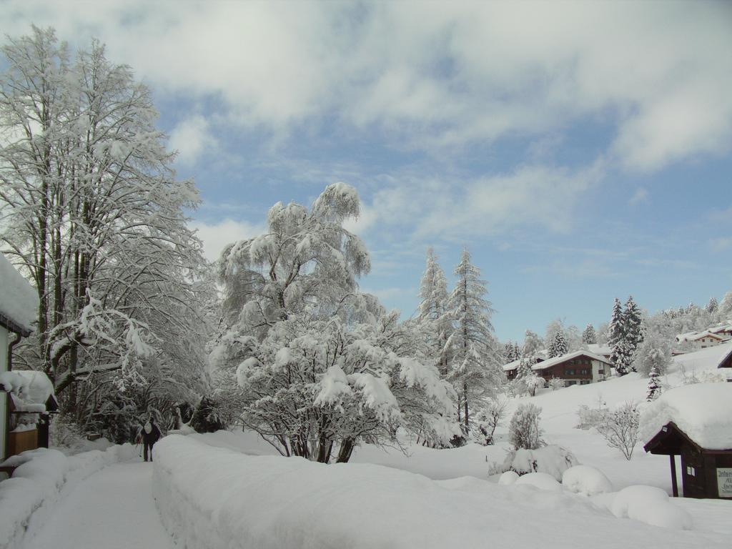 Haus Alpenlicht Daire Reit im Winkl Oda fotoğraf